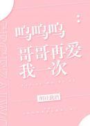 哥哥再爱我一次 君沐霖
