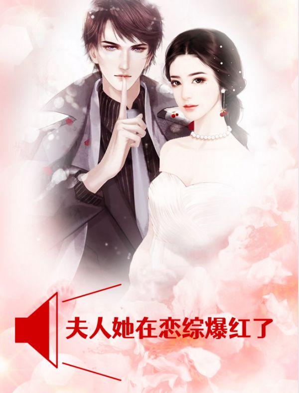 夫人他总在写话本