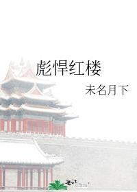 彪悍红楼左叶网