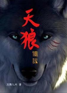 天狼讲的什么