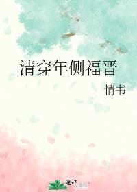 清穿侧福晋手册